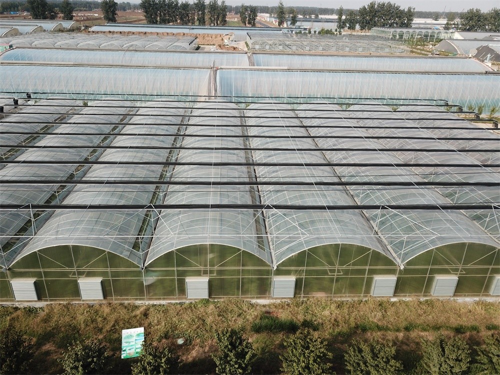 Plastic greenhouse Plastic greenhouse