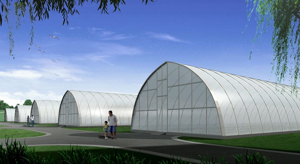 Single Span Tunnel Greenhouse Single Span Tunnel Greenhouse