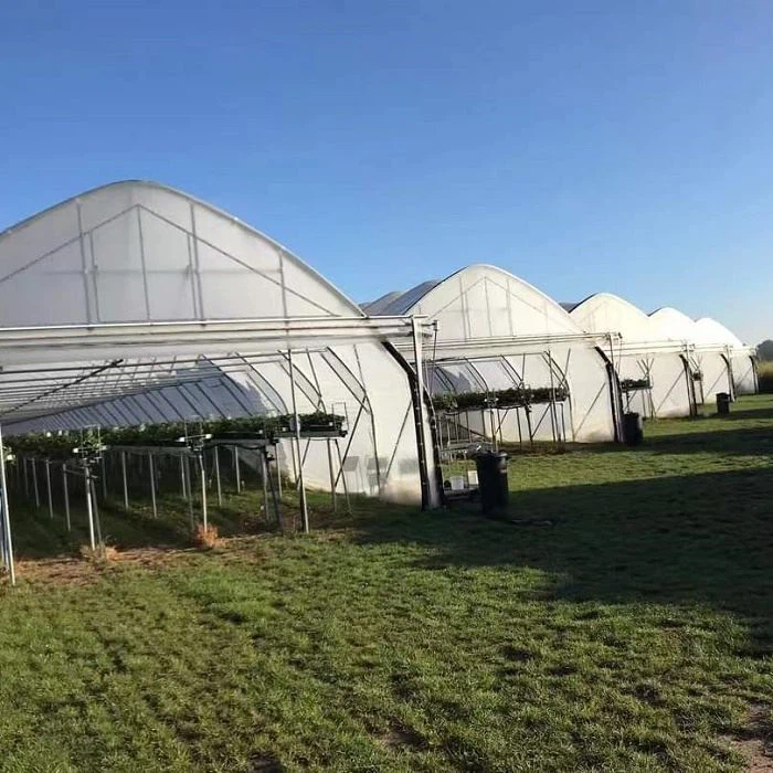 High Tunnel Greenhouse
