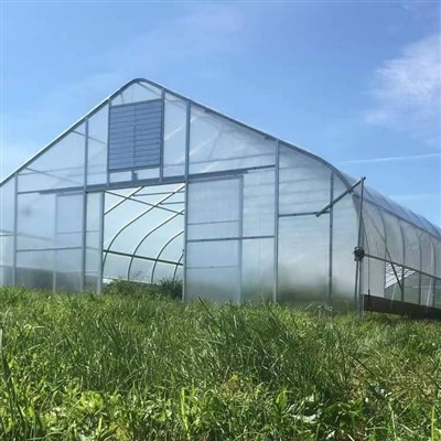 Low Greenhouse Tunnel