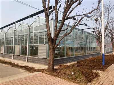 Middle East Greenhouse