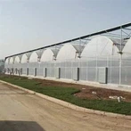 Multiple Greenhouses Across The Middle East