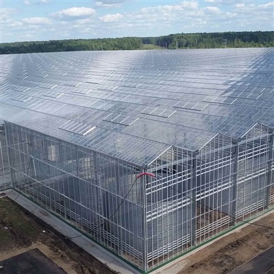 Pc Hydroponic Greenhouses