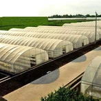 Small Agricultural Greenhouses