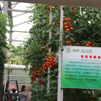 Tomoto Greenhouse
