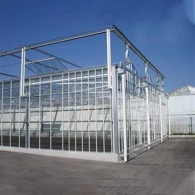 Tomoto Greenhouse