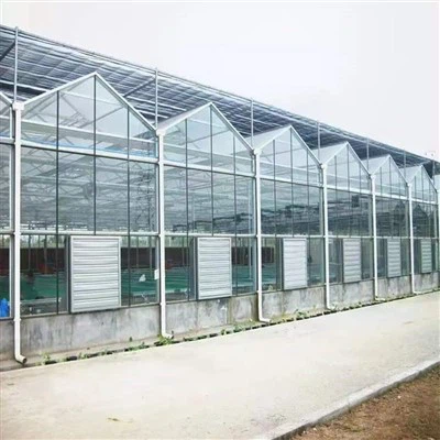 Tomoto Greenhouse