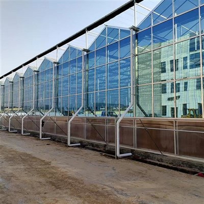 Venlo Intelligence Greenhouse