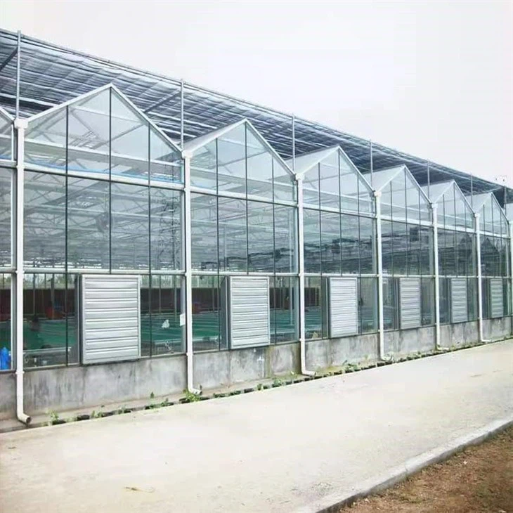 Tomoto Greenhouse