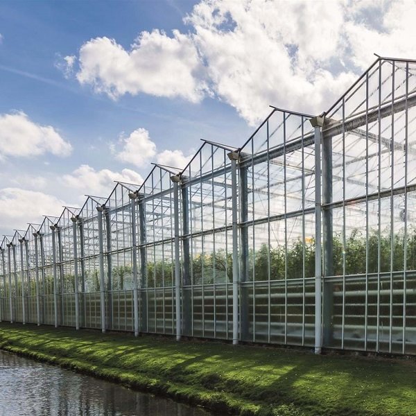 Venlo Glass Greenhouse