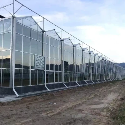 China Venlo Glass Greenhouse For Middle East