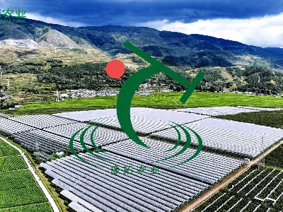 Yutuo Group Unveils Spectacular Xichang Greenhouse Project