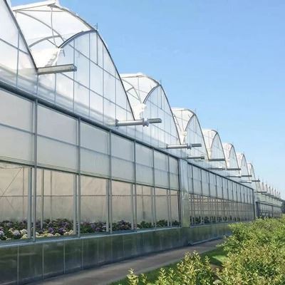 China Sawtooth Greenhouse Hot Sale