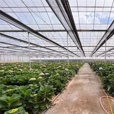 Glass Greenhouse For Agriculture Factory