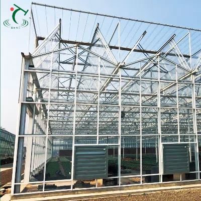 Glass Greenhouse For Agriculture Factory