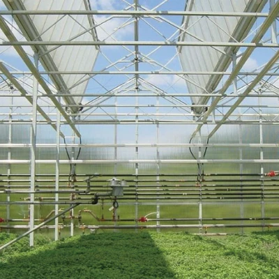 Glass Greenhouse For Agriculture Factory