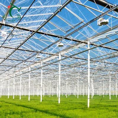 Glass Greenhouse For Agriculture Factory