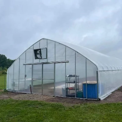 Single Span Tunnel Greenhouse