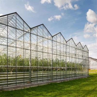 Smart Greenhouse For Sale