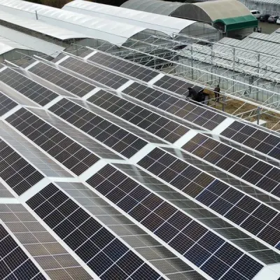 Solar Panel Greenhouse