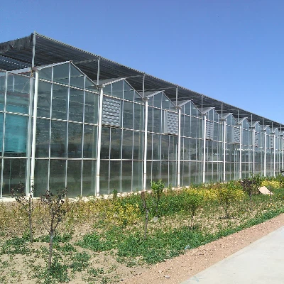Strawberry Glass Greenhouse
