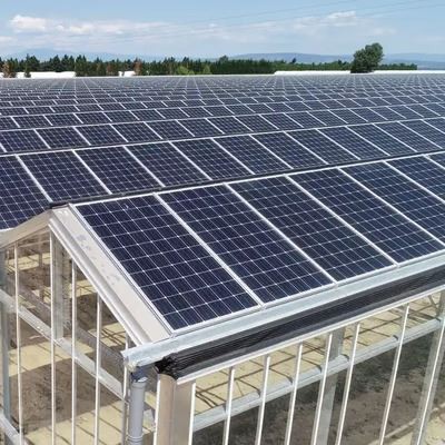 Solar Powered Hydroponic Greenhouse