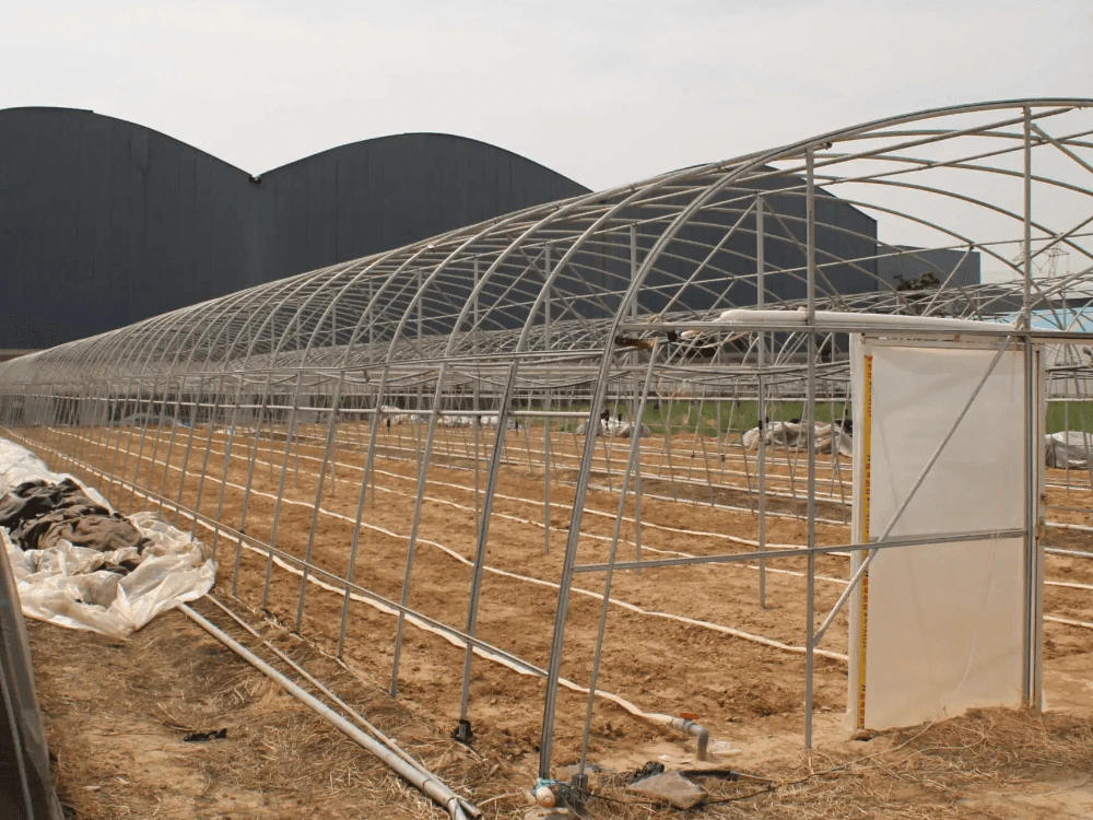 Single Span Tunnel Greenhouse Single Span Tunnel Greenhouse