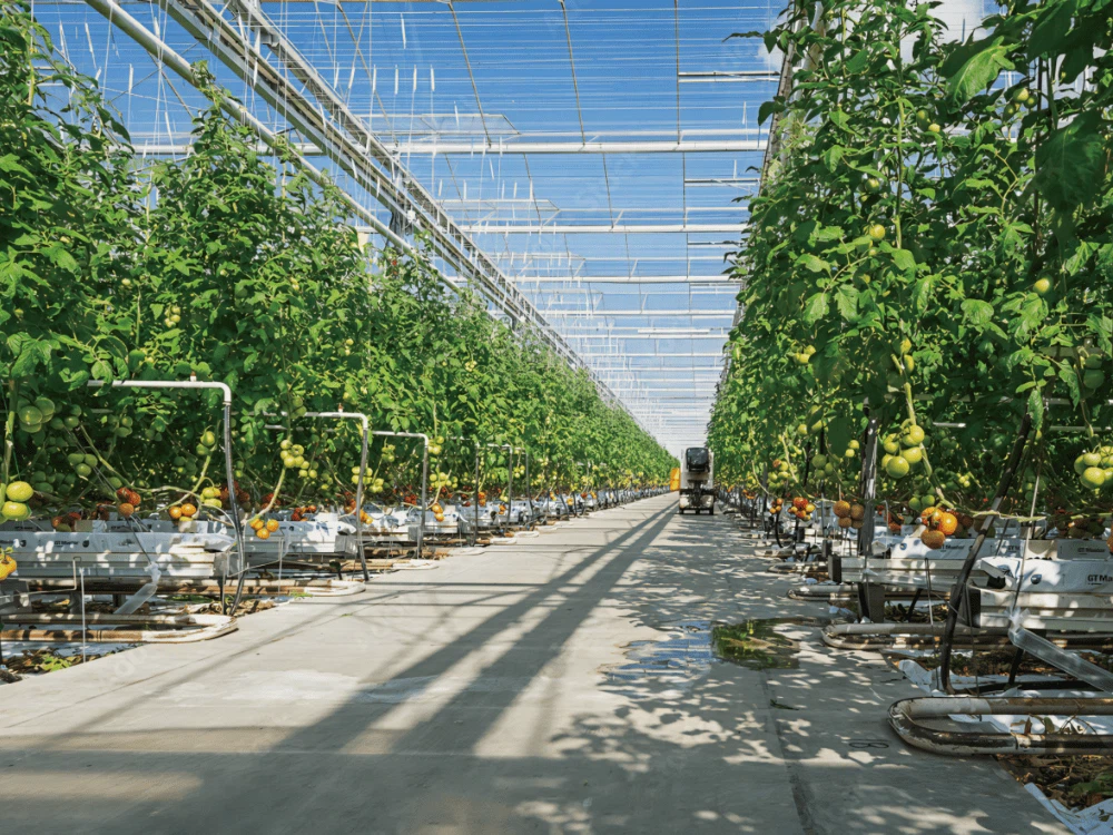 Smart Greenhouse For Sale