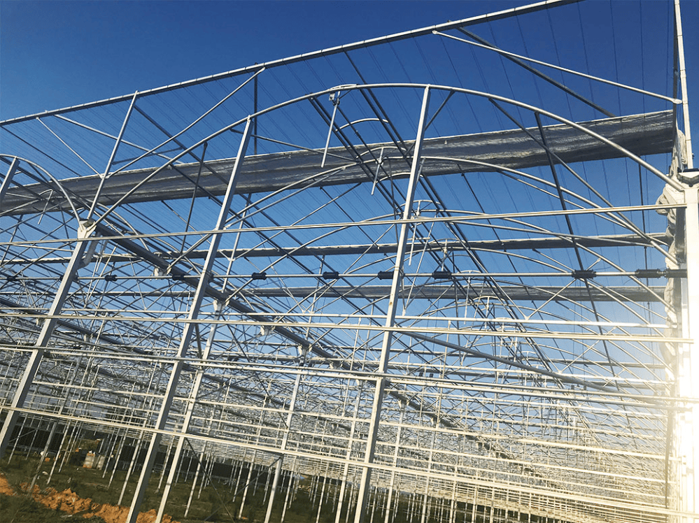 China Large Film Greenhouse